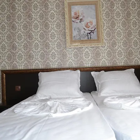 Kokiche Vip Hotel *